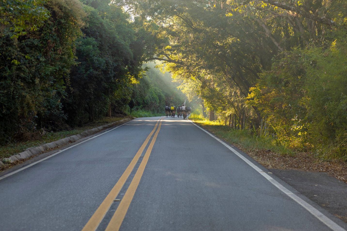 Lugares para pedalar: Estrada dos Romeiros