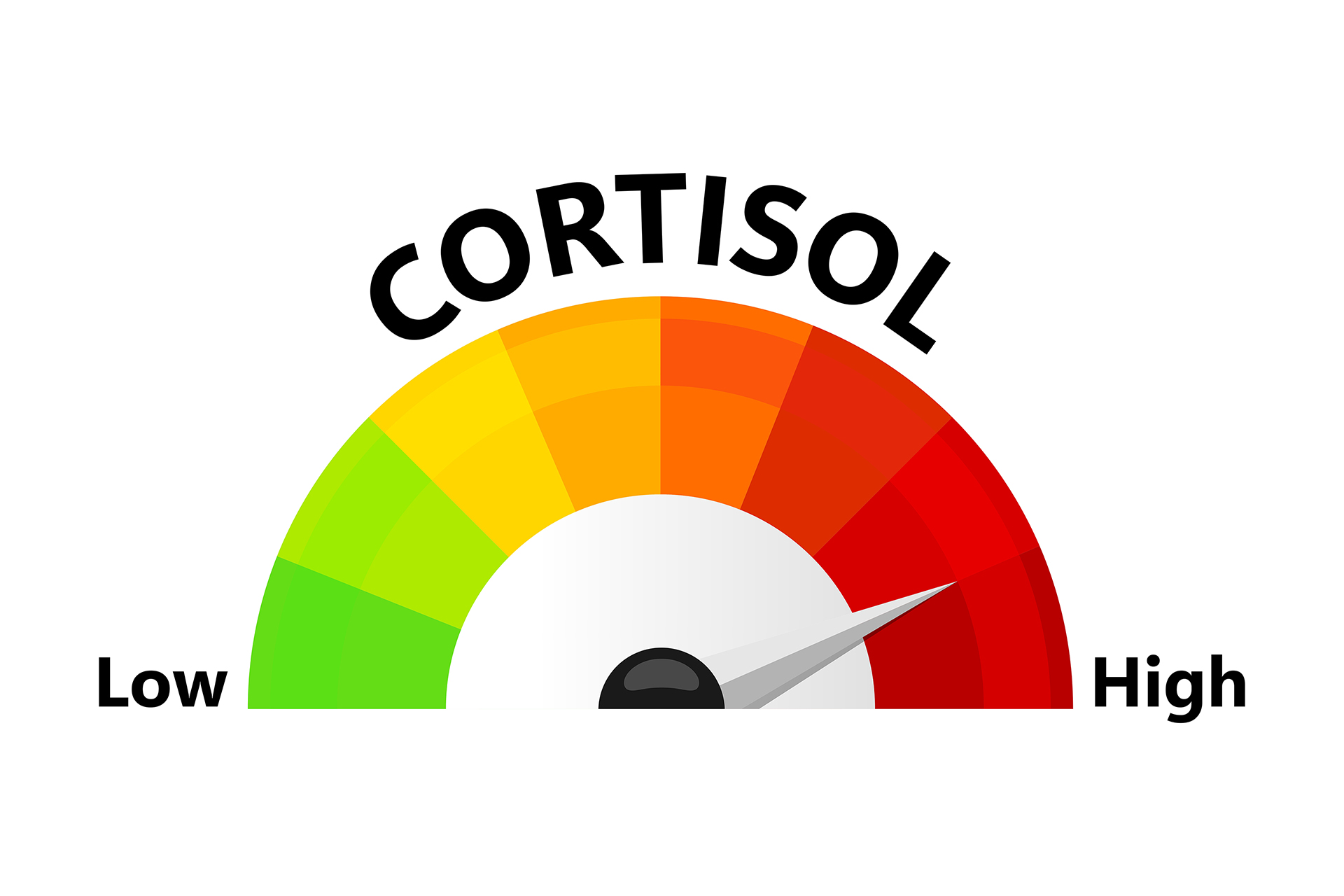 Capa de O que é cortisol, o hormônio do estresse, e como o ciclismo pode ajudar a combatê-lo