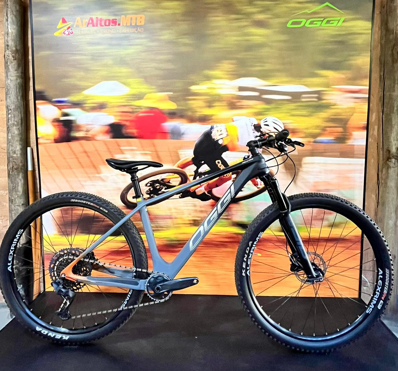 Bike Agile Pro cinza