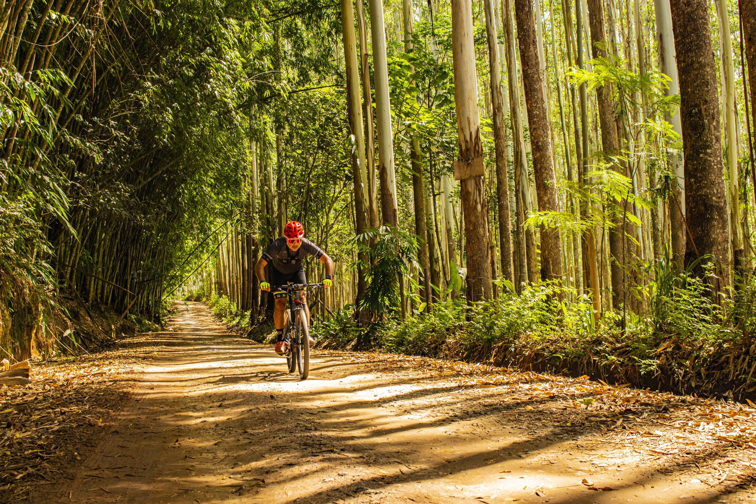 Onde pedalar perto de SP: Guararema