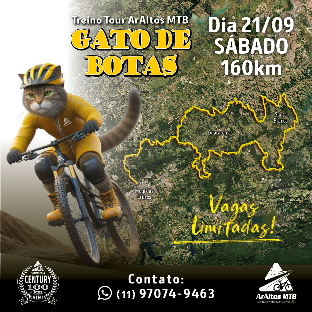 informações treino de pedal gato de botas